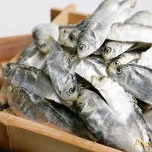 완도명가디퍼리500g-다시용-지퍼백포장도 국산 국내 국내산 퍼리 다디 육수용 요용 조용 다건어물