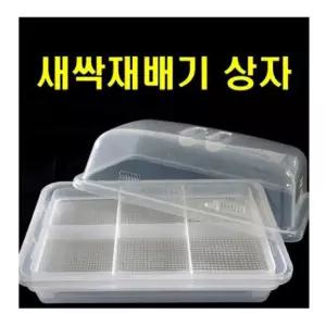 새싹 재배 용기키우기 재배기 씨앗키우기 원예 식물키우기