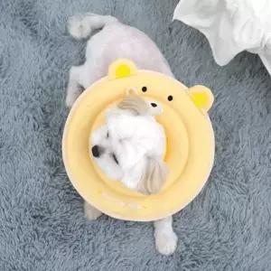 패리스독 베어 스폰지 넥카라 스펀지 강아지 애견 애완 반려 목보호 호대