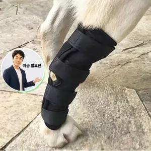 지금 필요한 펫츠런슬개골탈구애견발목강아지다리보호대 M 강아지보호대