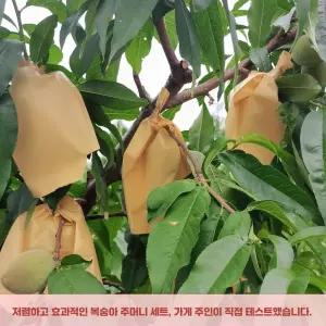 과수원 복숭아 봉투 주머니 과일 종이 포장지 보호 메쉬 소형 배 과일싸개 포도 사과