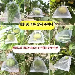 과일 방충 방조 부직포 봉지 포도 딸기 망사 보호 봉투