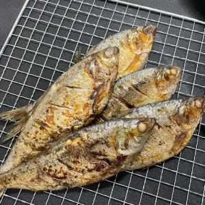 [파인밀] 제철 자연산 생물 전어 1kg (10-12미 내외)