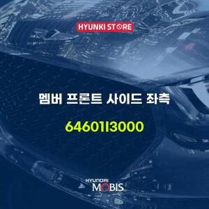 [현대모비스]멤버 프론트 사이드 좌측 (64601I3000)
