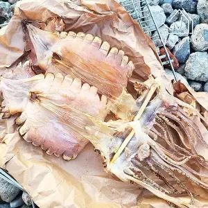 [웰굿] 담백한 마른 오징어 5미(625g내외,특대,원양산)