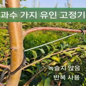 사과나무 고정기 나뭇가지 18cm 나무가지 지지대 유인기 과수원 과일 지주대