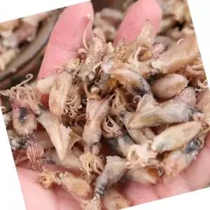 VB 꼴뚜기 마른꼴뚜기 건꼴뚜기 300g 술안주 건어물 반찬