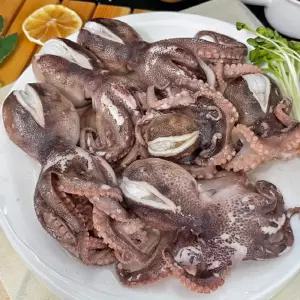 냉동 알쭈꾸미 1kg