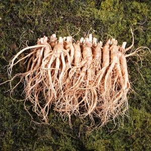 금산인삼수삼 난발삼소 무료세척 1채750g 18~22뿌리