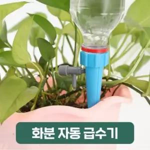 화분키우기 식물 자동급수기 화초 물주기 페트병 급수기