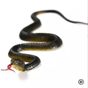 45cm 가짜 현실적인 고무 장난감 뱀 시뮬레이션 Aonda 무서운 할로윈 조류를 놀라게하는 소품 장난 트릭