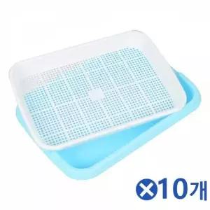 수경재배 새싹 플라스틱 채소 펠렛 모종 식물키우기 콩나물 육묘
