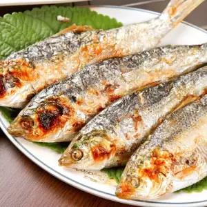 산지직송 생물 국내산 전어 구이용 2kg