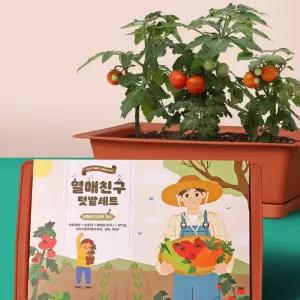 꿈쟁이 열매친구키우기세트물받침대포함