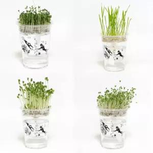 저면관수 미니화분 새싹 키우기 DIY 키트