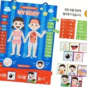 (올핀)매직캐슬 소중한 나의 몸 배우기 차트 학습벽보