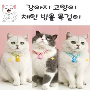 목걸이 애완용품 악세사리 네임택 반려묘 인식표 강아지 켓 방울목걸이 펜던트 [사러왕]고양이 방울