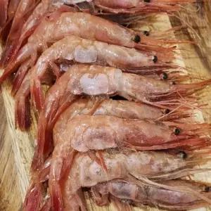 국내산 횟감 냉동 단새우 500g