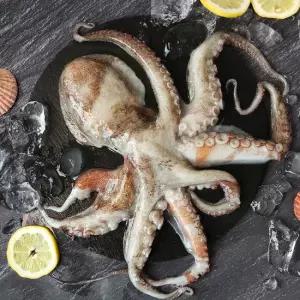 [산지직송] 자연산 여수 활 돌문어 1kg