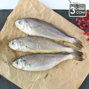[삼촌밥먹자] 제주 참조기 특대 10마리