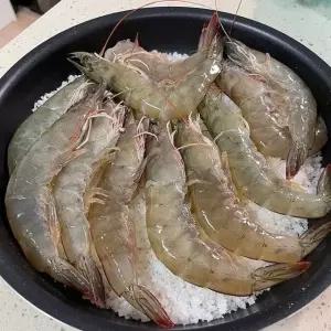 신안 활 흰다리 새우 1kg 32-40미 활새우 생새우 회 신안흰다리새우 횟감새우 생물새우 캠핑 새우 구이