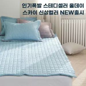 올데이 소프트마이크로 카페트 겸 패드