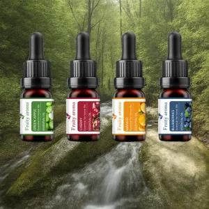 과일향 오일 방향제 차량용 실내 에센셜 아로마오일 10ml 2개