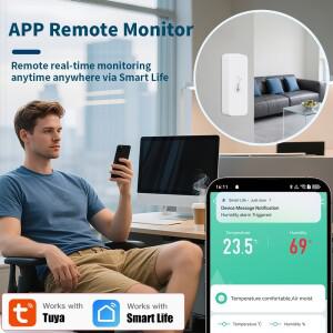 2PACK Tuya WiFi 온도 및 습도 센서 스마트 라이프 앱 원격 제어 Yandex Alice Alexa와 함께 작동