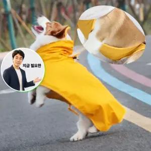 지금 필요한 중형견 비옷 강아지 우비 대형 강아지우비