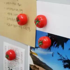 브리스크스타일 토마토 냉장고자석 메모홀더 마그넷 5P세트 242506