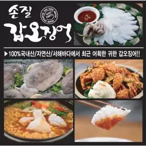 [NS홈쇼핑]제철!! 손질완료!! 국내산 햇 갑오징어[35754809]