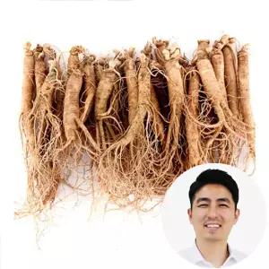 인삼수삼 대삼계삼 25뿌리내외 750g 삼계탕용