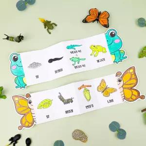 자연관찰 폴딩북 한살이 피규어 만들기(2종 1세트)
