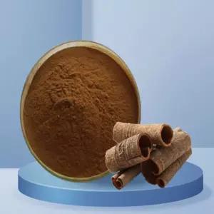 계피추출분말 1kg