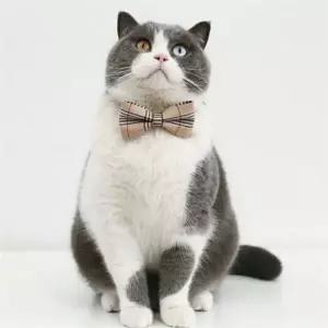 고양이 보타이 반려동물 애견 넥타이 강아지 보타이 리본 스카프 의류 패션 장식 의상