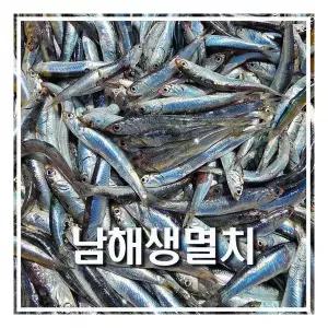 남해 바다 보물섬 해녀 언니네 손질 생 멸치 500g 산지직송 급냉