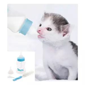 애완동물 젖병 세트 강아지 고양이 반려동물 150ml 애완 동물 젖병 세트 접병 강아지 고양이