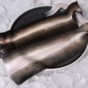 국내산 자포니카 민물장어 선물세트 1kg