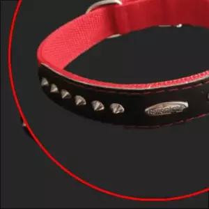 데이지 C1411 PP별목줄 개목줄 30mm 66cm 빨강 강아지 목걸이 고급 목줄 대형견 중형견 러프웨어목줄 애견