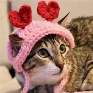 외출용 고양이 뜨개 모자 반려동물 고양이 하트 모자 생일 패션