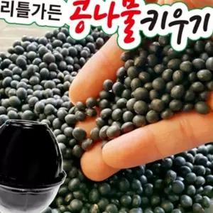 (올핀)콩나물 키우기 키트 - 집에서 쉽게 재배하기