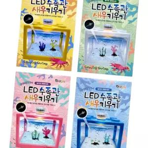 (다올)LED어항 새우키우기 블럭어항 랜덤 관찰학습 물멍 단체선물 판촉물