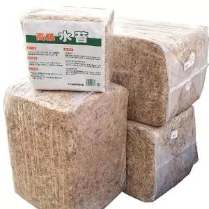 수태 150g 토피어리 동양난 난초 수태봉만들기 수경재배 화초