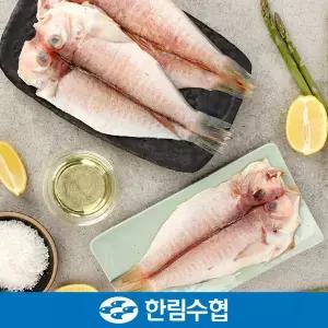 [한림수협][바로배송][제주 한림수협] 제주직송 제주 특 옥돔 8마리 세트 (옥돔 280g x 8팩)_국내산_냉...