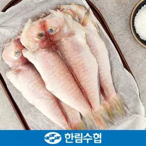 [한림수협][바로배송][제주 한림수협] 제주직송 제주 특大 옥돔 3마리 세트 (옥돔 380g x 3팩)_국내산_...