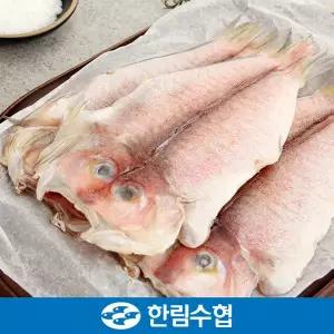 [한림수협][바로배송][제주 한림수협] 제주직송 제주 특大 옥돔 6마리 세트 (옥돔 380g x 6팩)_국내산_...