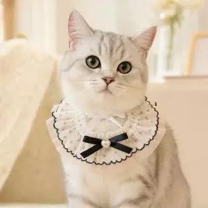 고양이 레이스 케이프 강아지 자수 스카프 반려동물 악세사리