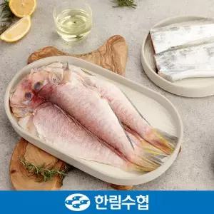 [한림수협][바로배송][제주 한림수협] 제주 갈치3미(1미당 300g)+제주 옥돔3미(1미당 160g) 혼합세트+부...