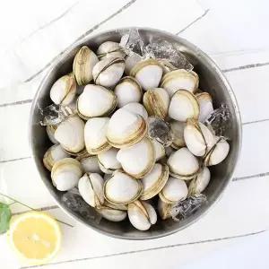 [친환경팔도]서해안 동죽(물총조개) 2kg