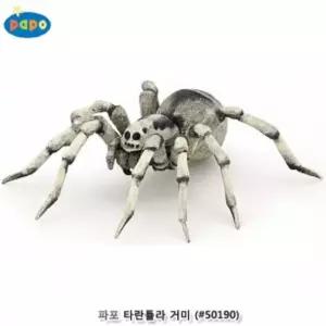 파포 (모형완구) 타란튤라 거미 (50190) 장난감 피규어 동물 동물어 캐릭터 규어